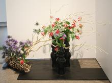 105 - Anne Breau -- Valley Flowers.jpg 7.3K
